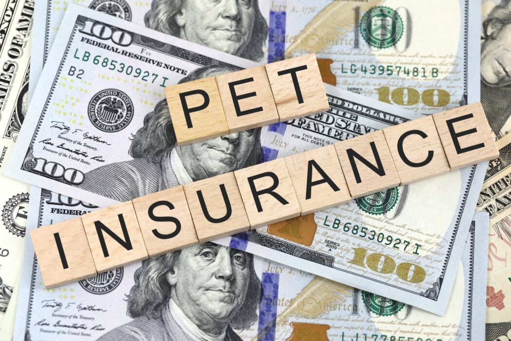 pet insurance